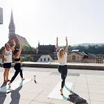 Harry's & 슈타이어